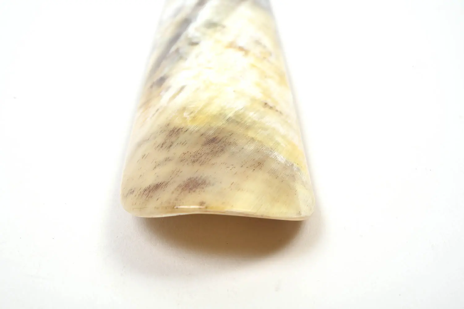 ABBEYHORN  NATORIYA -PREMIUM- 20(50cmTIP END)  [TPE50-001]