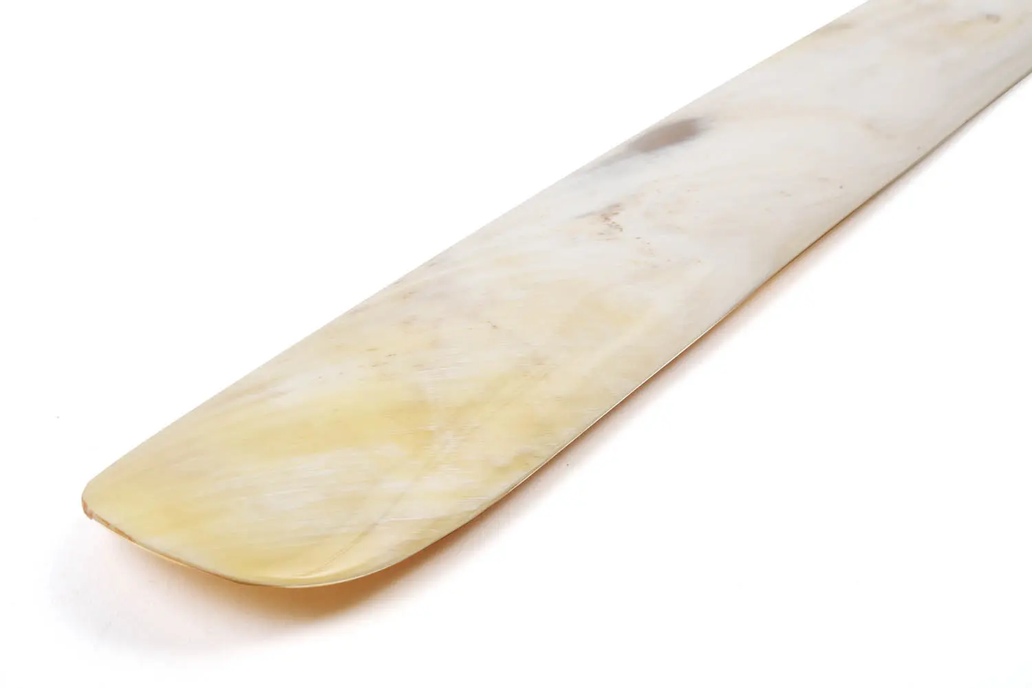 ABBEYHORN  NATORIYA -PREMIUM- 20