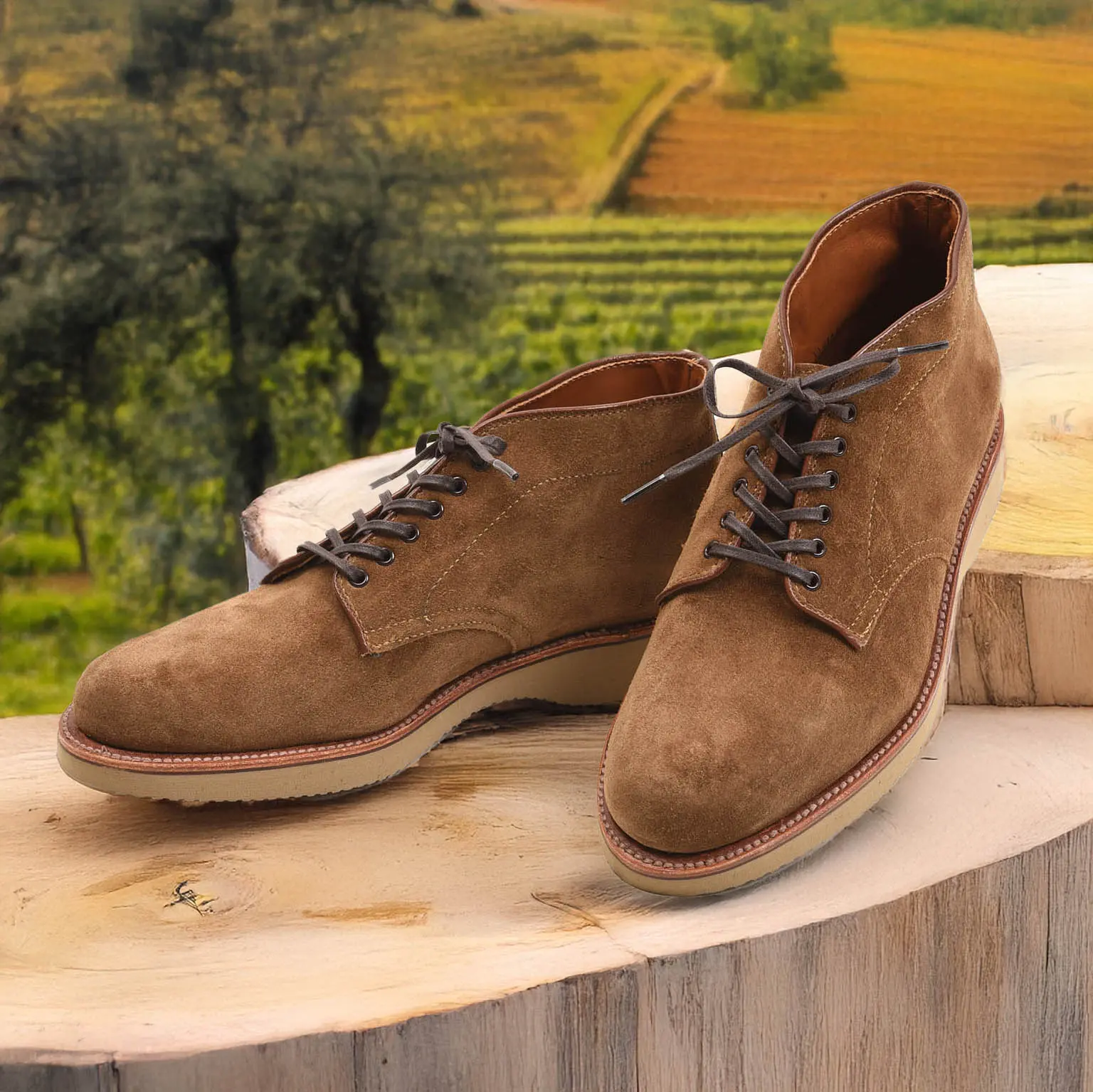 ǥ N1803 SNUFF SUEDE 6-EYE CHUKKA BOOT