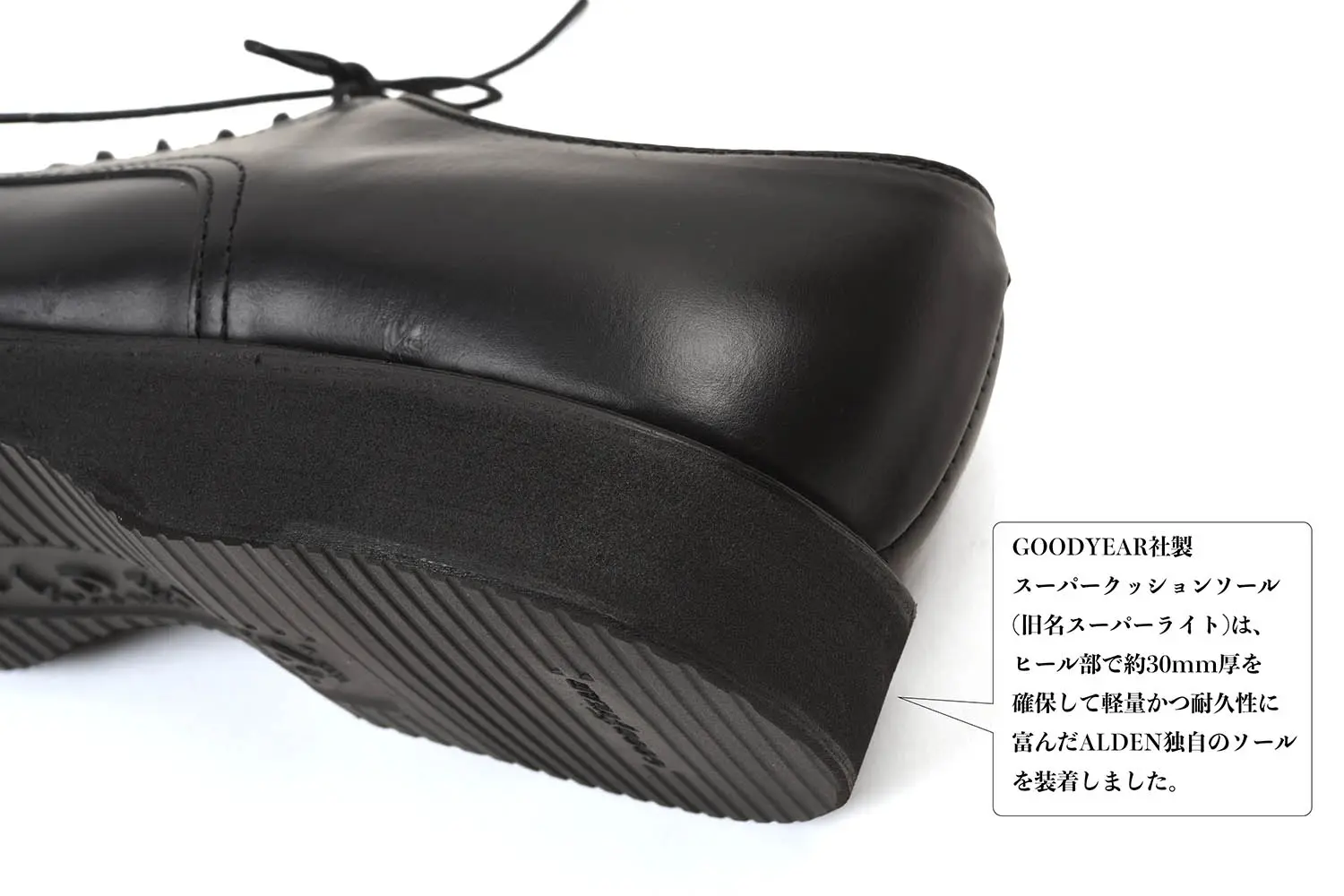 ������ǥ� N5609 ����V���å� ��ǥ��ե����� �����२������ �����ѡ��饤�� (�֥�å�)