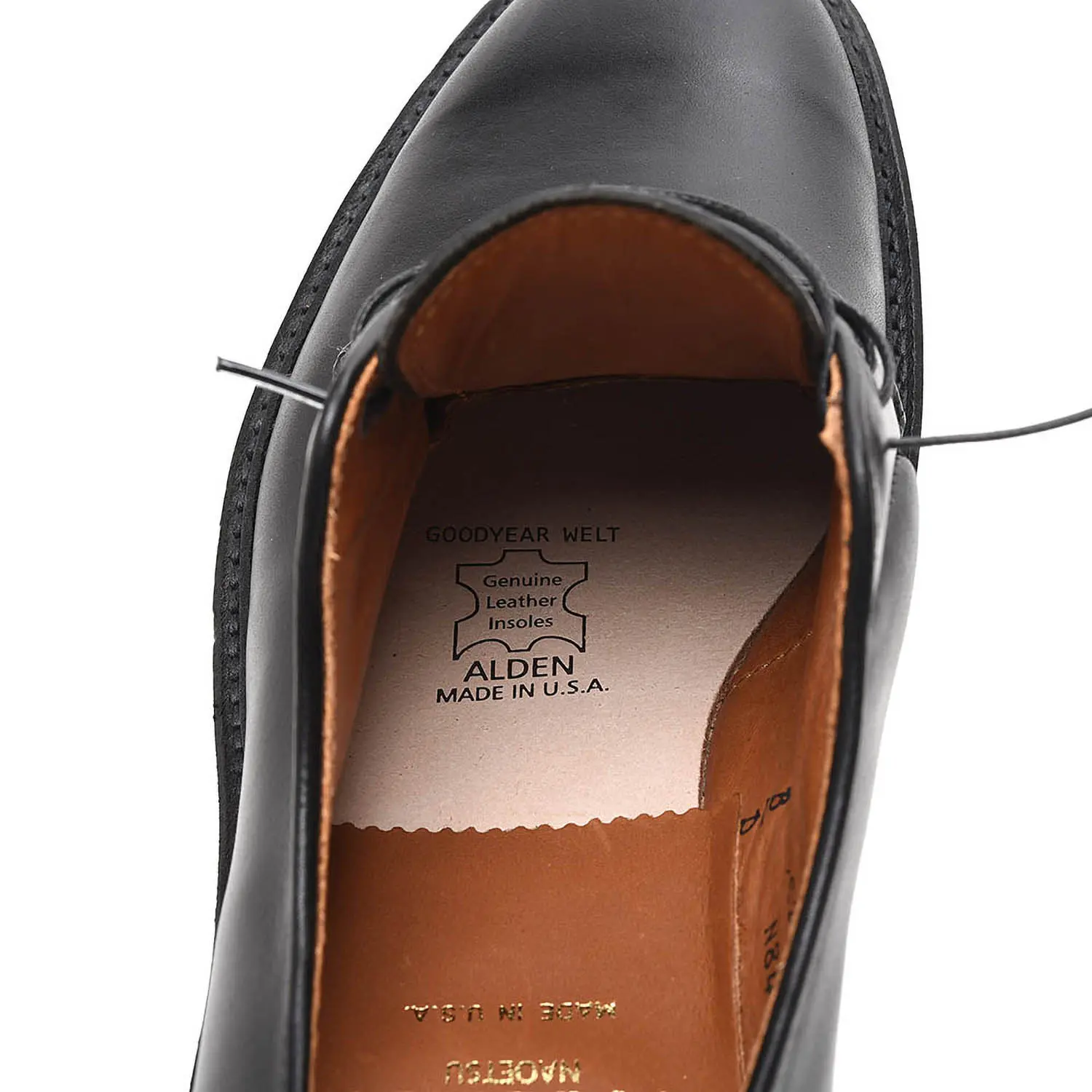 ǥ N8407 P-TOE ꥯ饰 २ BLACK