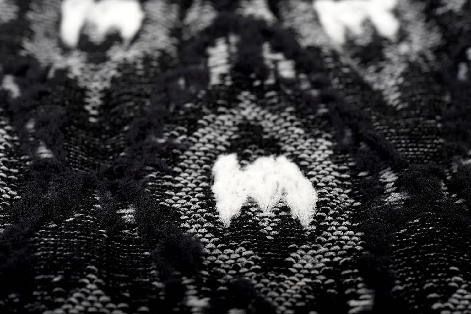 ayame W-AYAME��C53 ROKU 6  (BLack �� White)