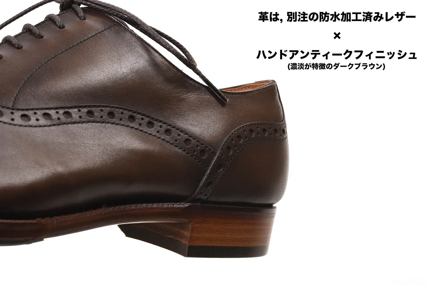 祻 C-7006NT DBR(ƥž夲)ɿ