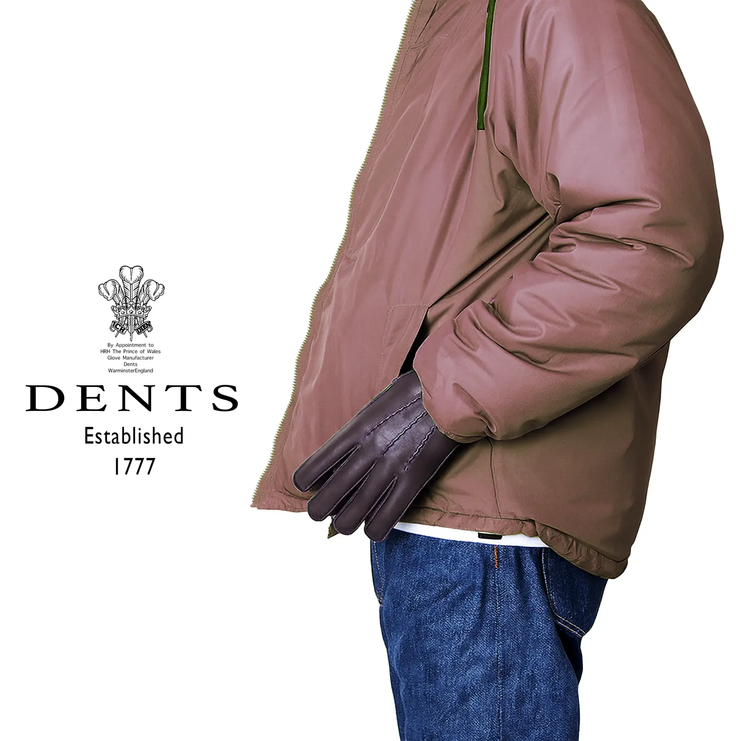 ǥ 15-1134 إ ӥåȥե(å꡼) BROWN ()