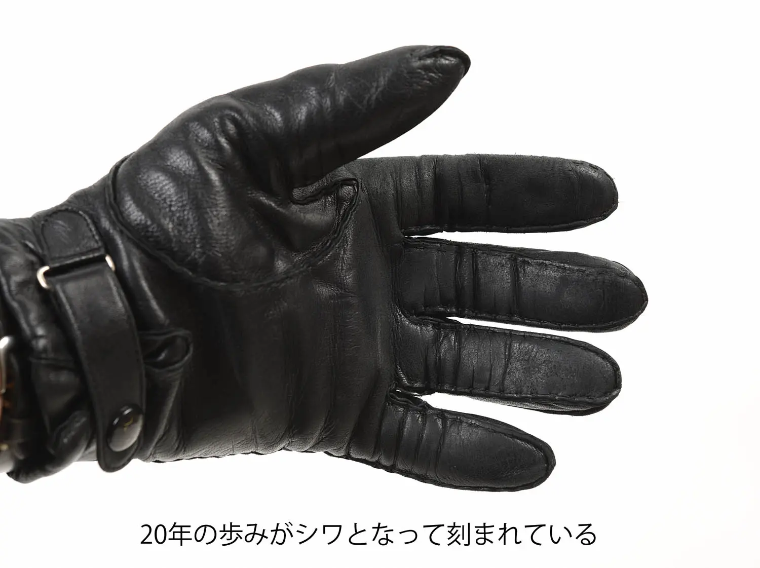 ǥ 15-1516 Strap & Roll إ  ⥤쥶饤˥ (Black)