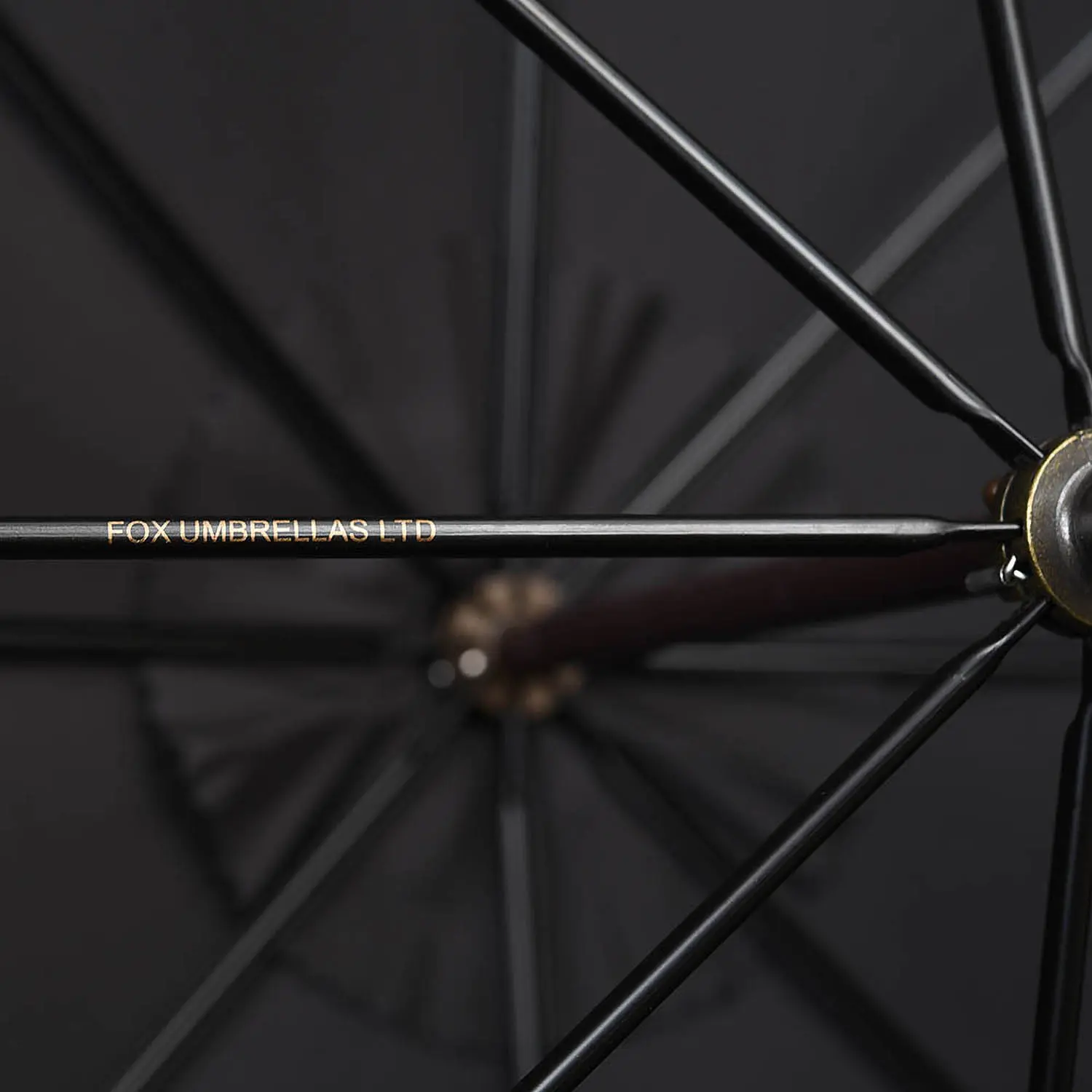 եå֥  GT29-GREYHOUND ˥ޥإå ֥å