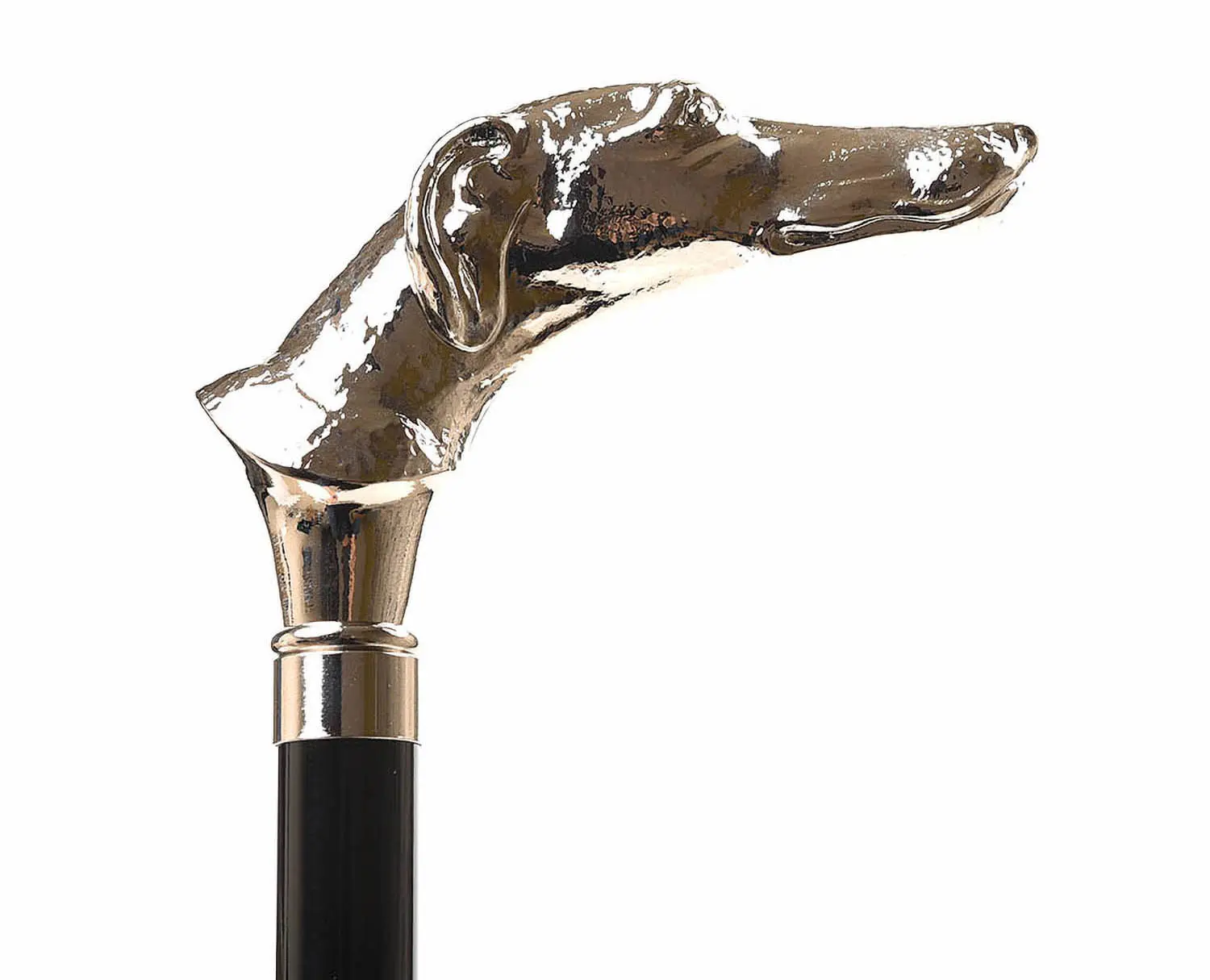 եå֥  GT29-GREYHOUND ˥ޥإå ֥å