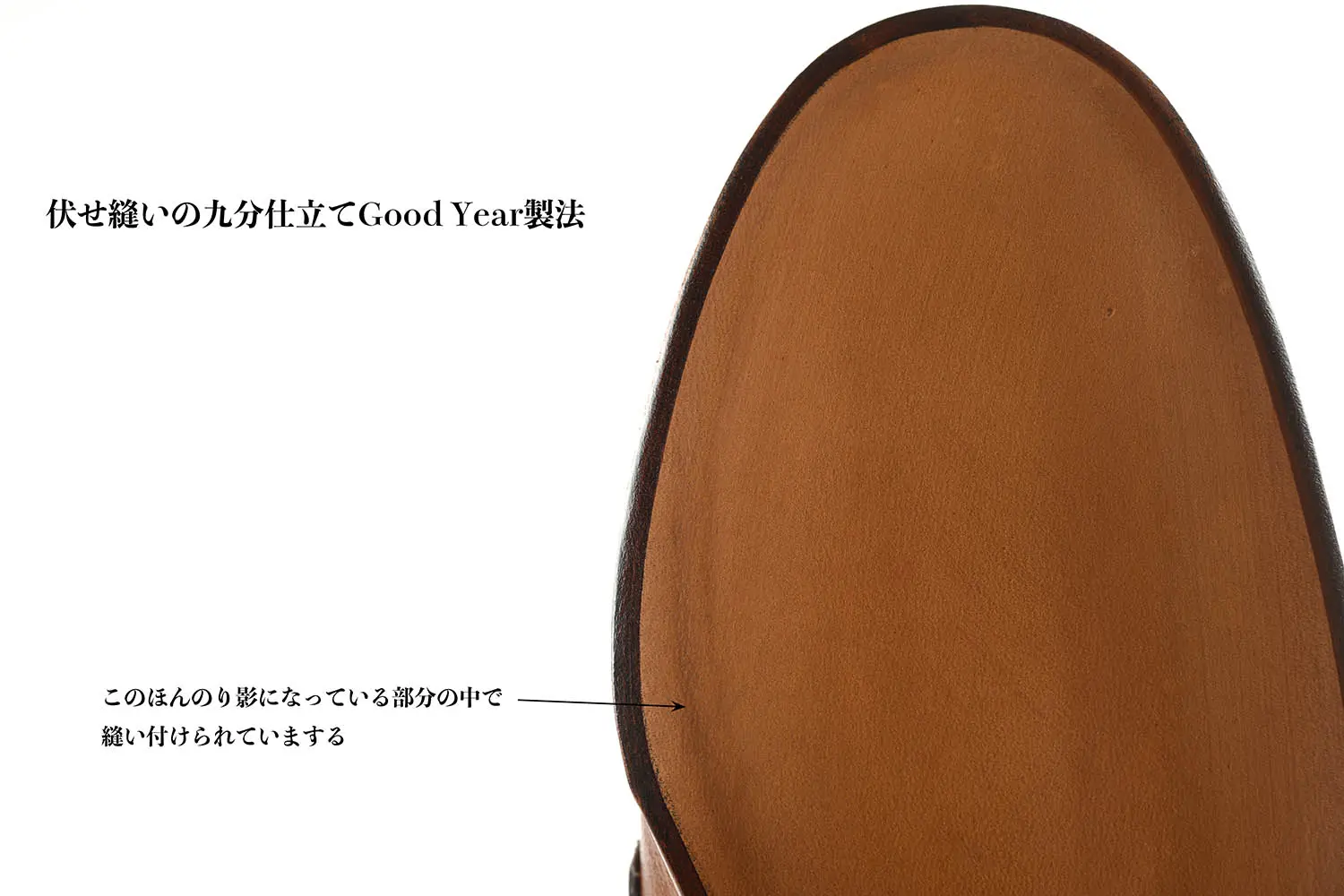 �ե�ƥåꥸ�㥳��åƥ� FG254-017 VACHETTA ELBAMATT MOGANO