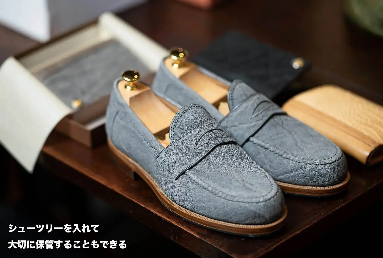 եƥåꥸ㥳åƥ FG257-058 ELEFANTE GRIGIO