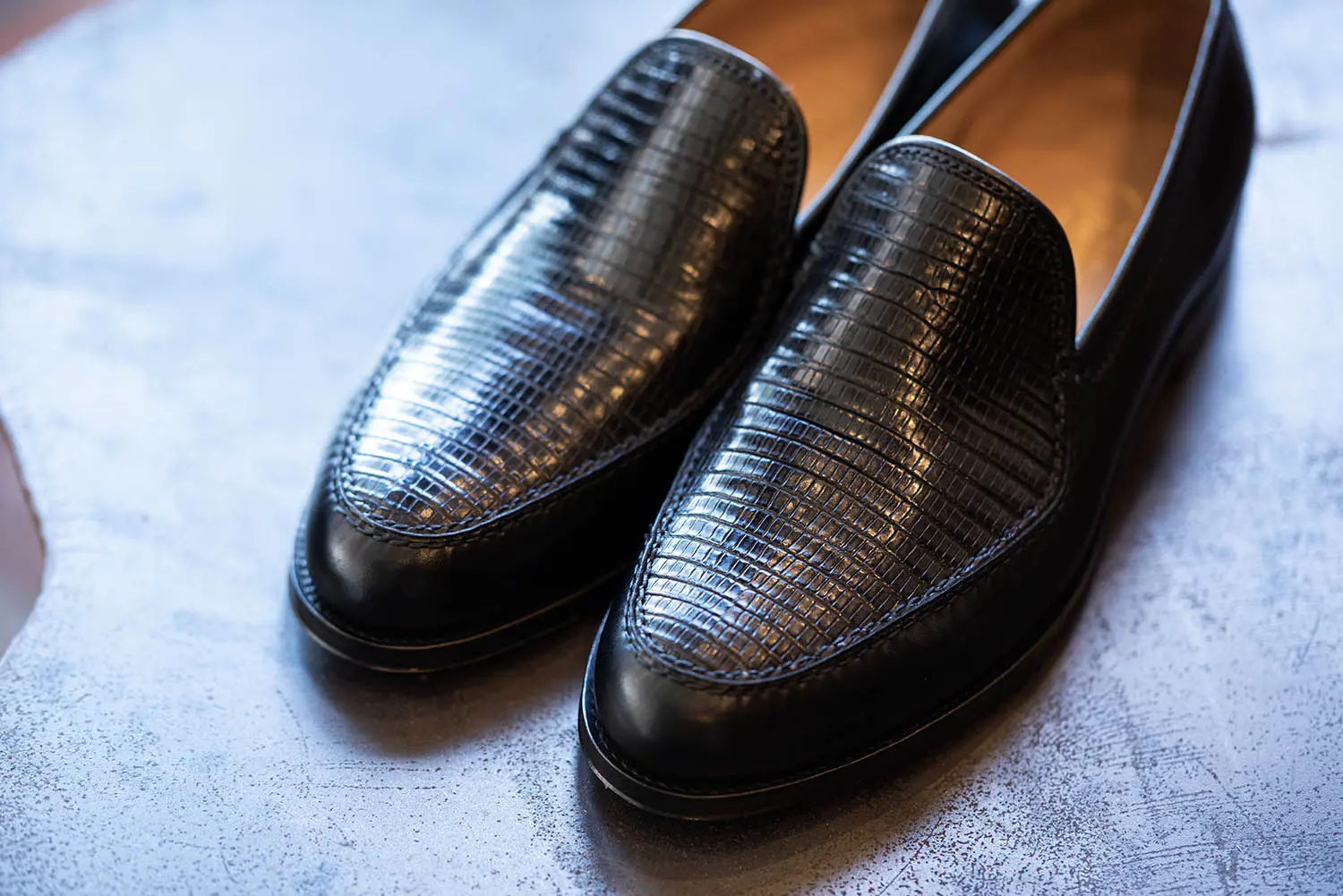 �ե�ƥåꥸ�㥳��åƥ� FG313-006 TEJUS + ANILOU NERO