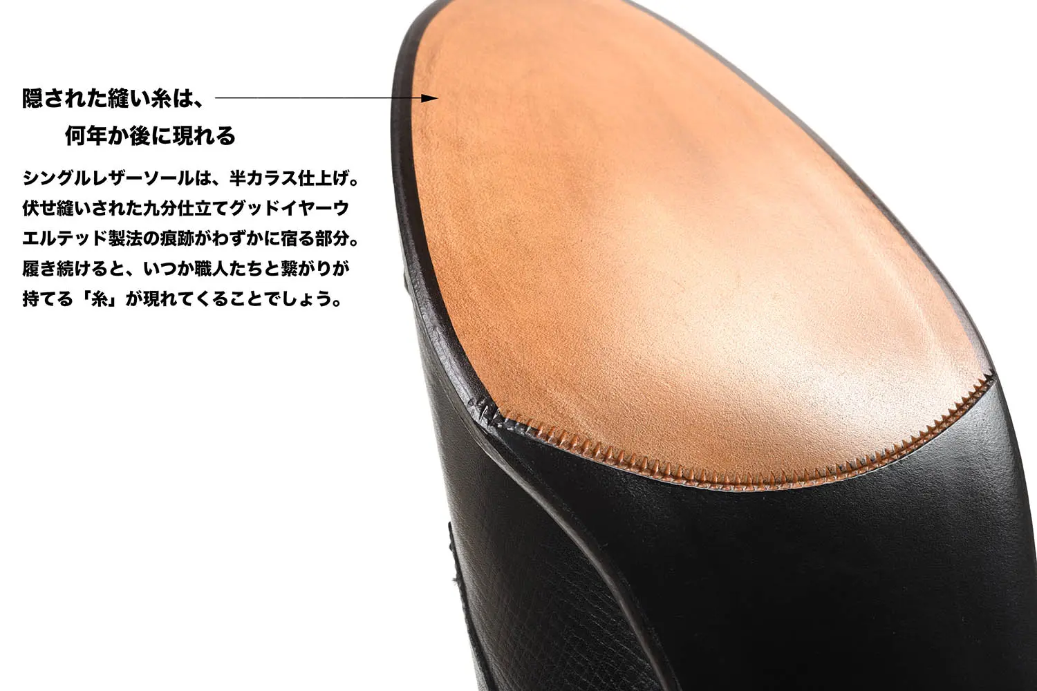 �ե�ƥåꥸ�㥳��åƥ� FG502-021 UTHA CALF NERO ���֥��󥯥��ȥ�å�