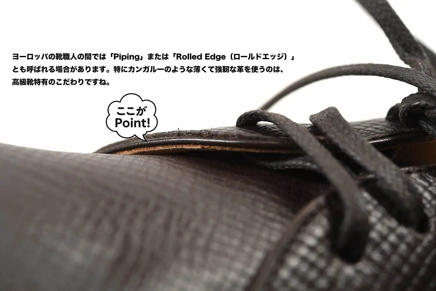 եƥåꥸ㥳åƥ FG600-007 ANILOU CALF EBENE