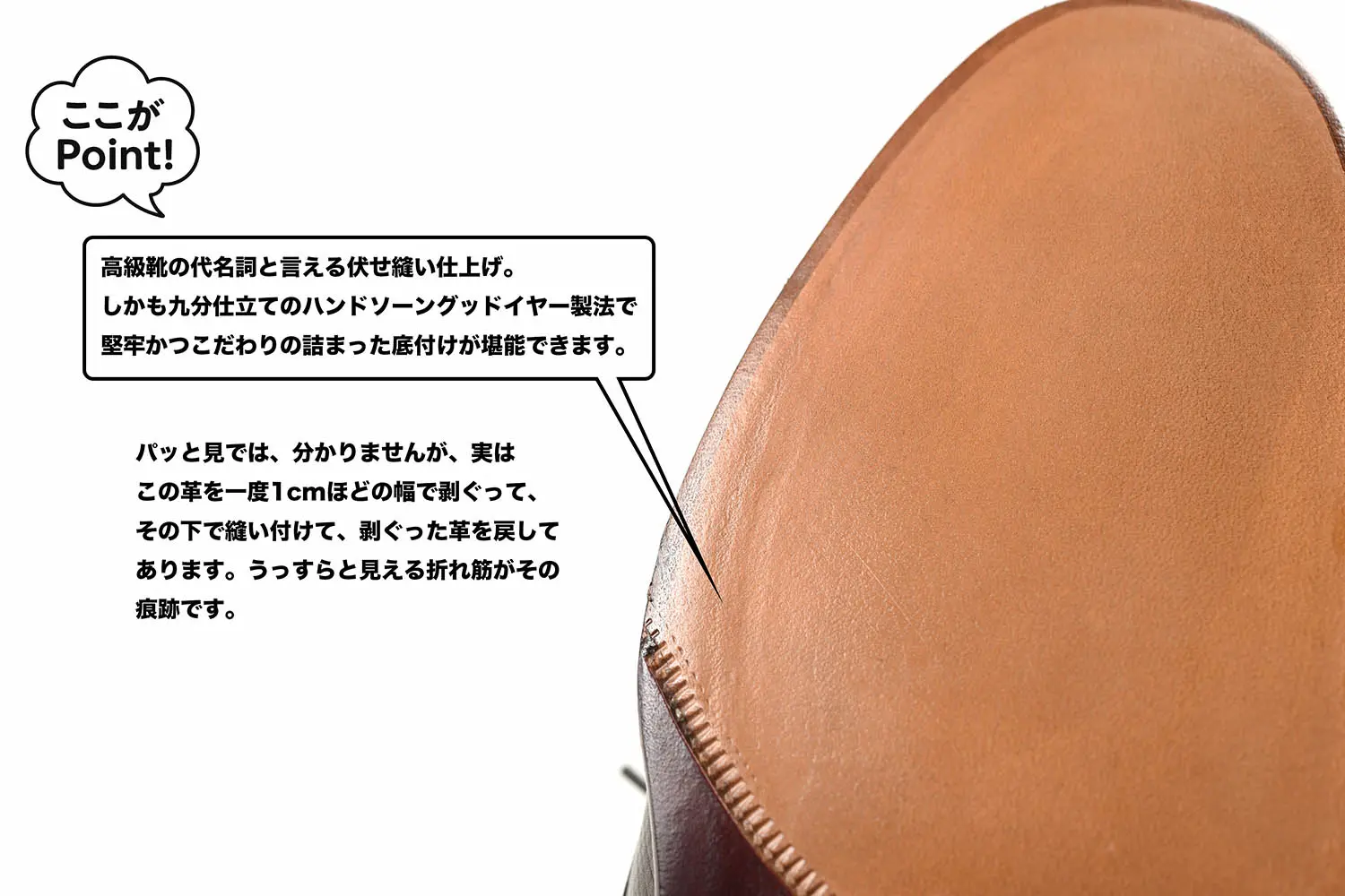 եƥåꥸ㥳åƥ FG600-007 ANILOU CALF EBENE