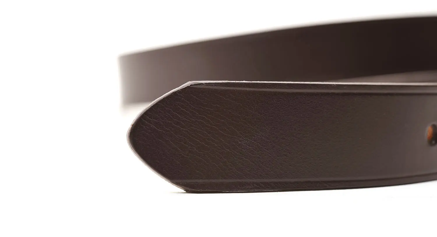 Lloyd Footwear Bridle Leather Belt (֥饦)