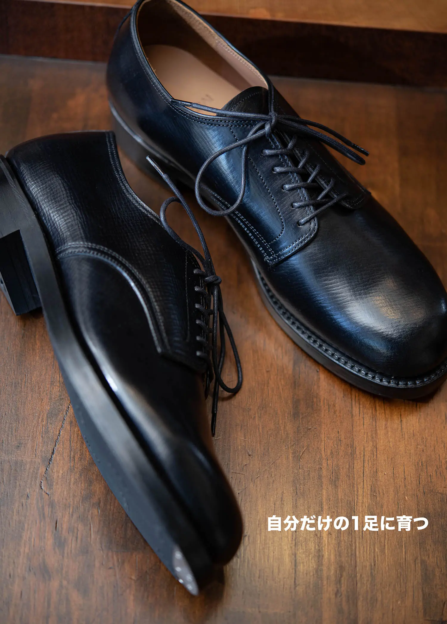 MOTO 2152 ϥåɥХץ졼ȥ塼 (֥å)