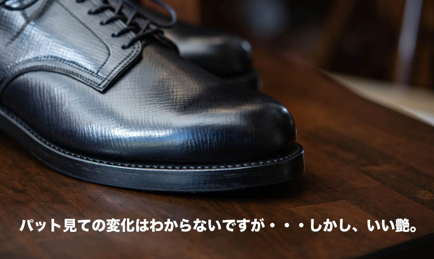 MOTO 2152 ϥåɥХץ졼ȥ塼 (֥å)