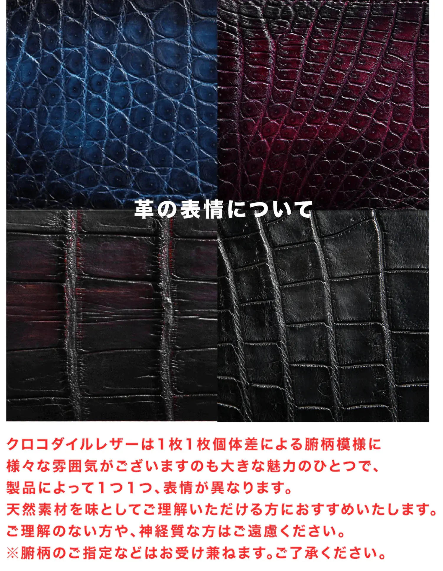 MOTO FW4 ϥɥ̥᥯  ٥륮̥ åץѥȥå (ͥӡ)