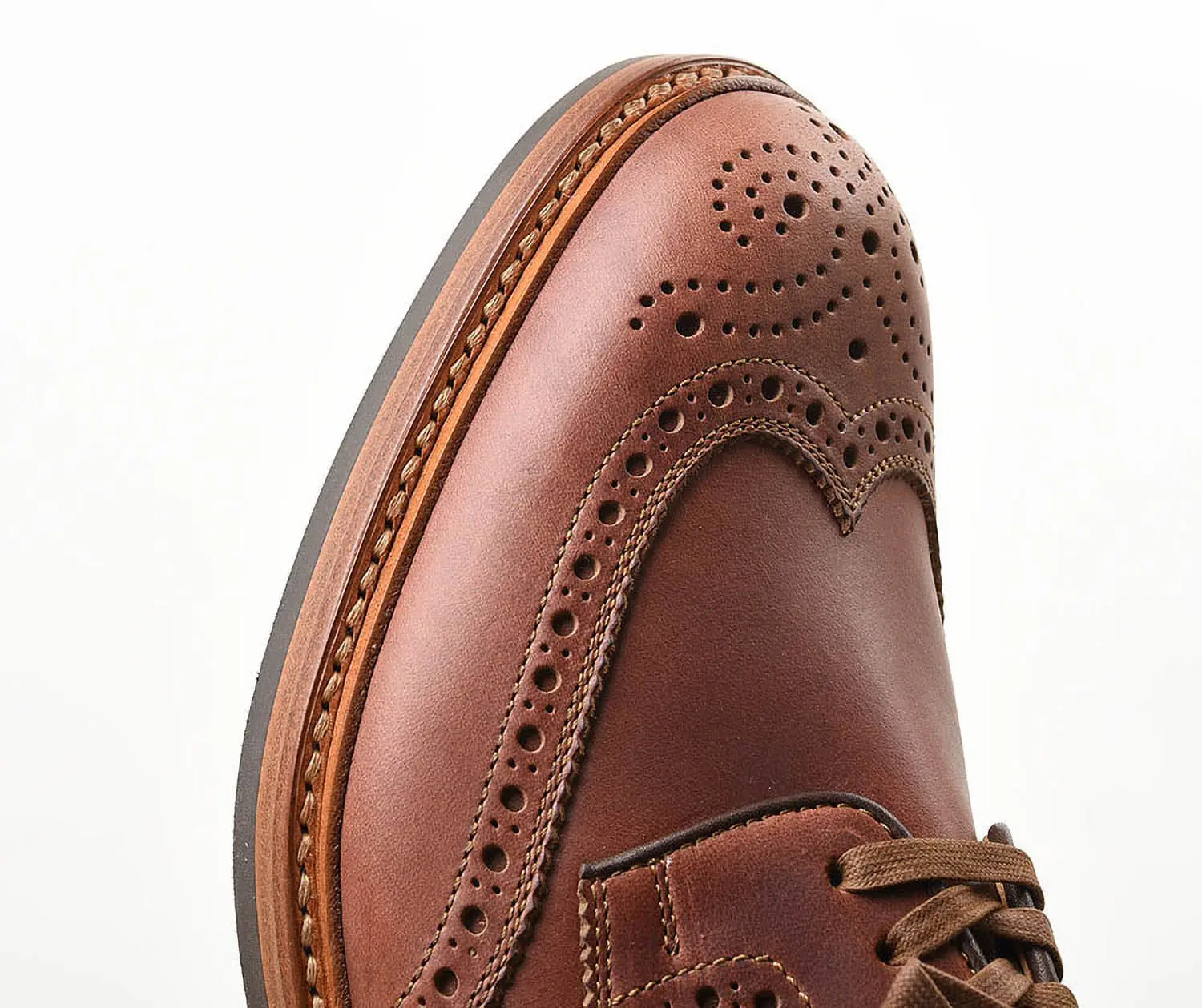 MOTO 2102 5EYE�ե�֥����� �����२������ �֥饦��