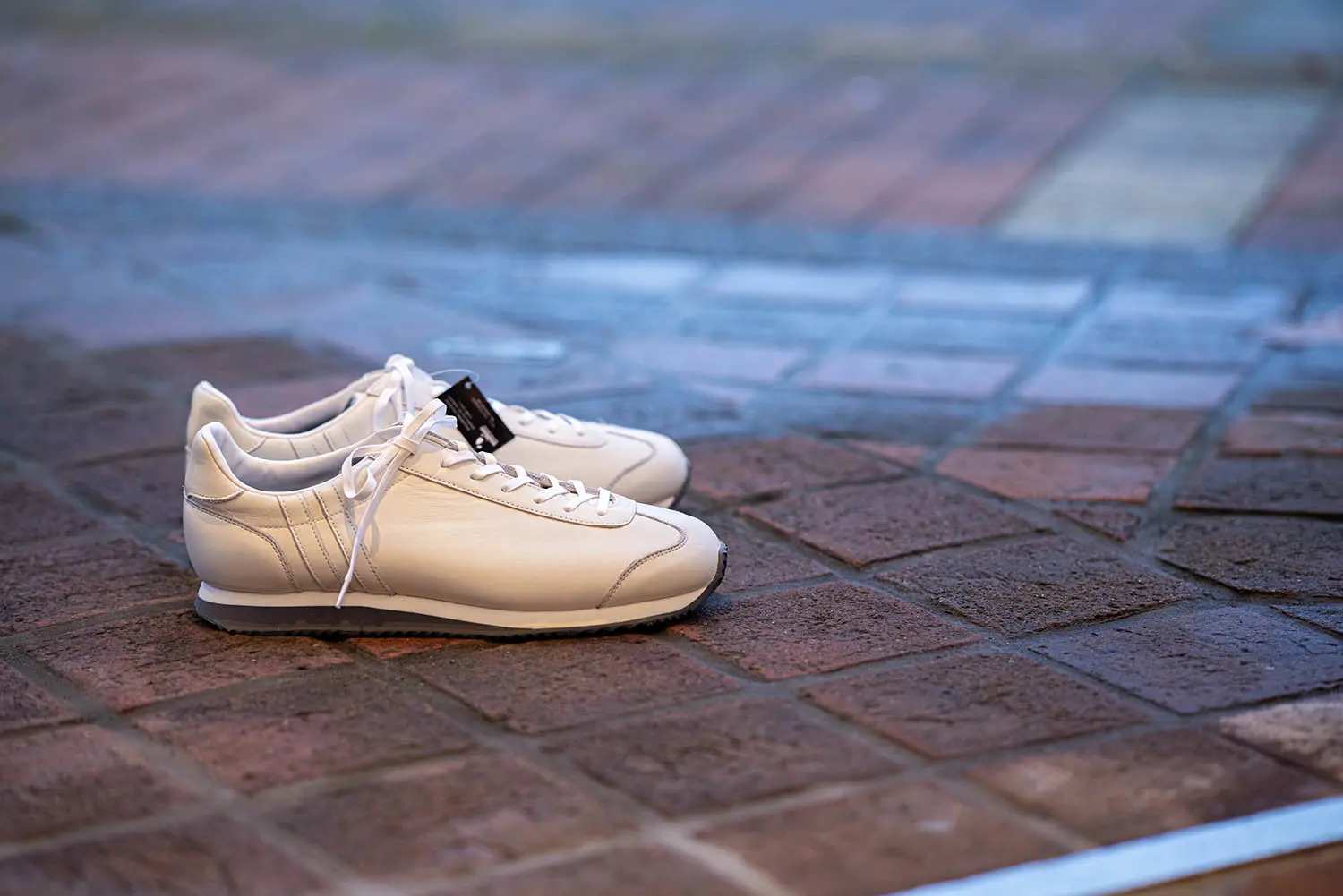 �ѥȥ�å� 530720 NEVADA-WP WHT