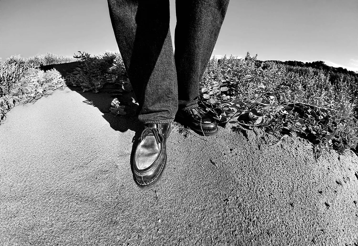 ѥ֡ 715604 MICHAEL MARCHE II LIS (NOIR) 