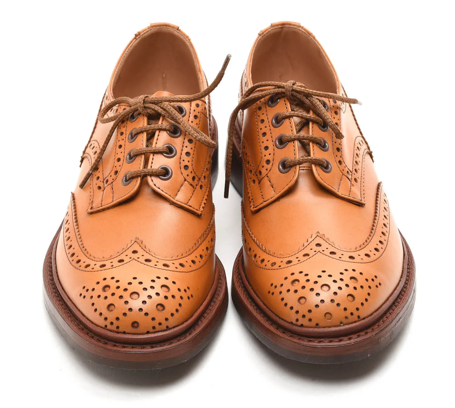 ȥå M5633/38 BOURTON  ʥ Acorn Antique