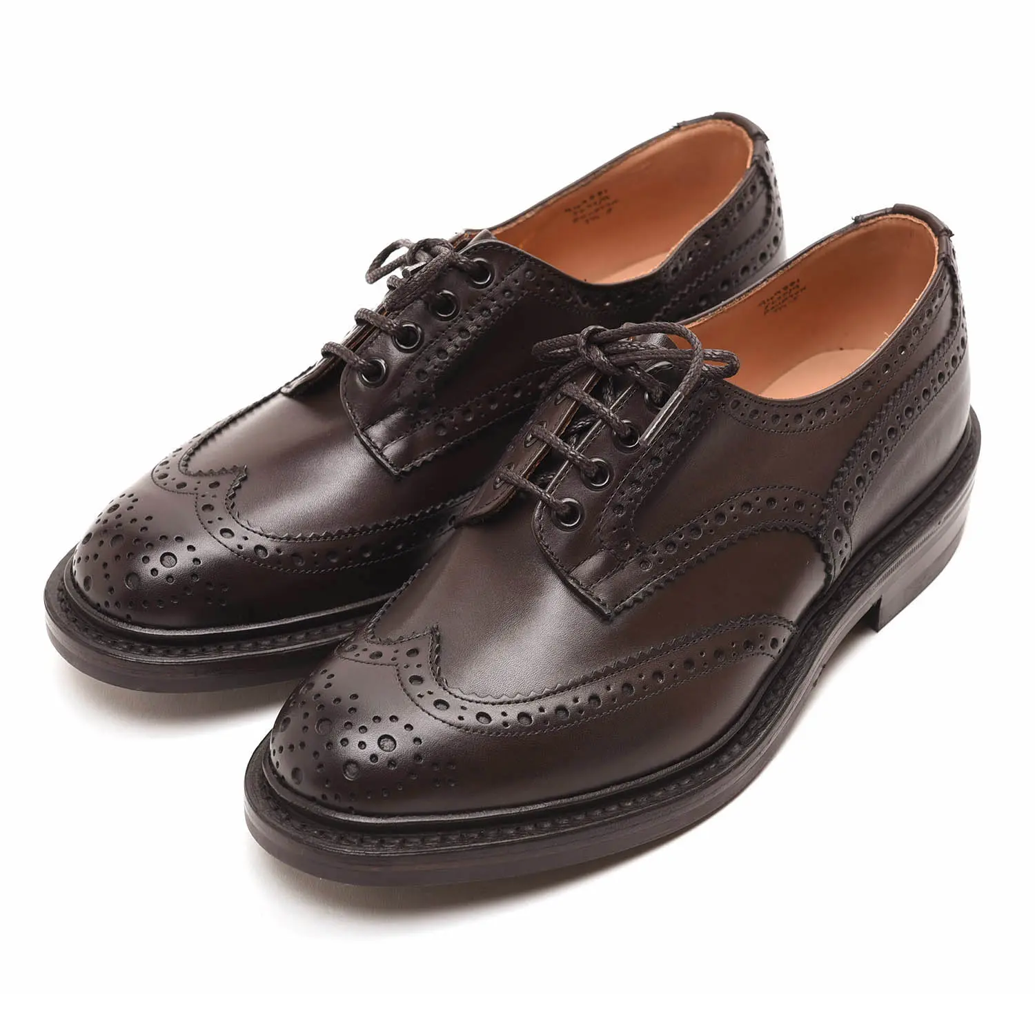ȥå M5633/9 BOURTON  ʥ espresso