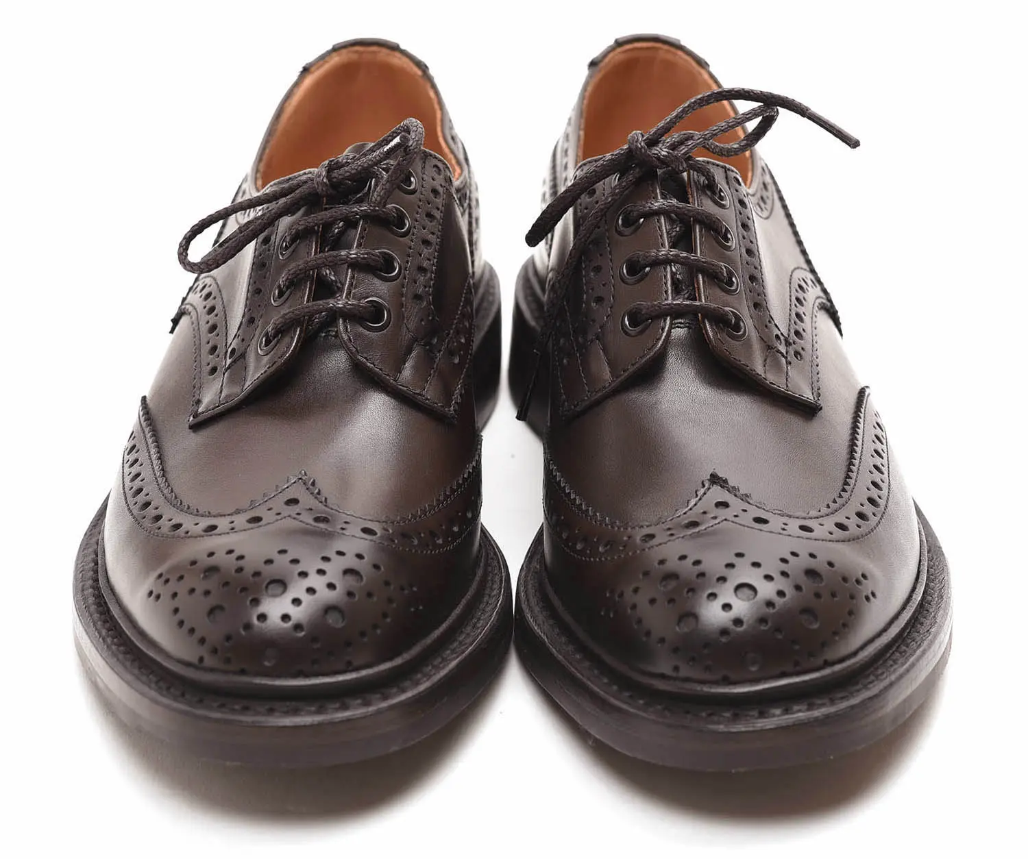 ȥå M5633/9 BOURTON  ʥ espresso