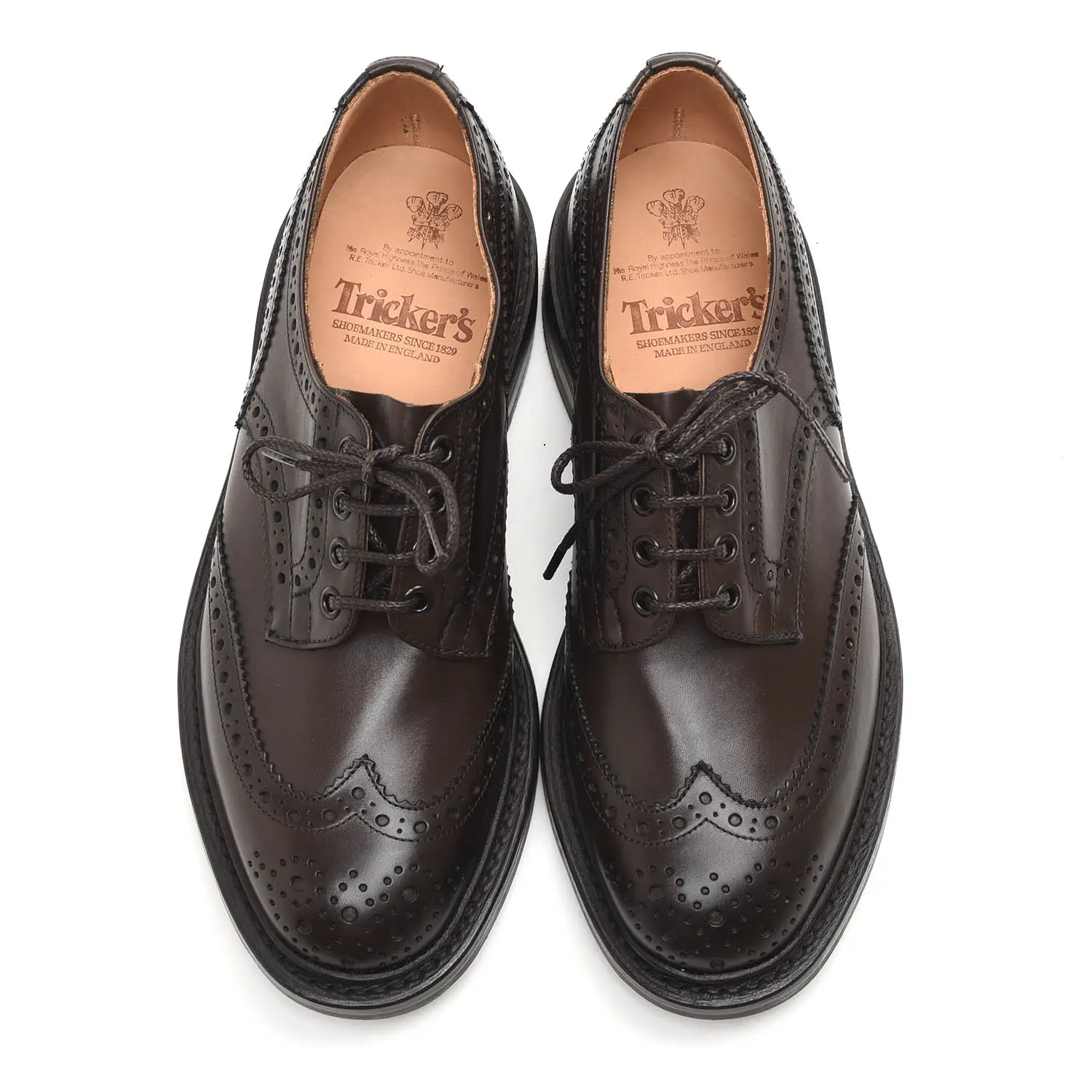 ȥå M5633/9 BOURTON  ʥ espresso