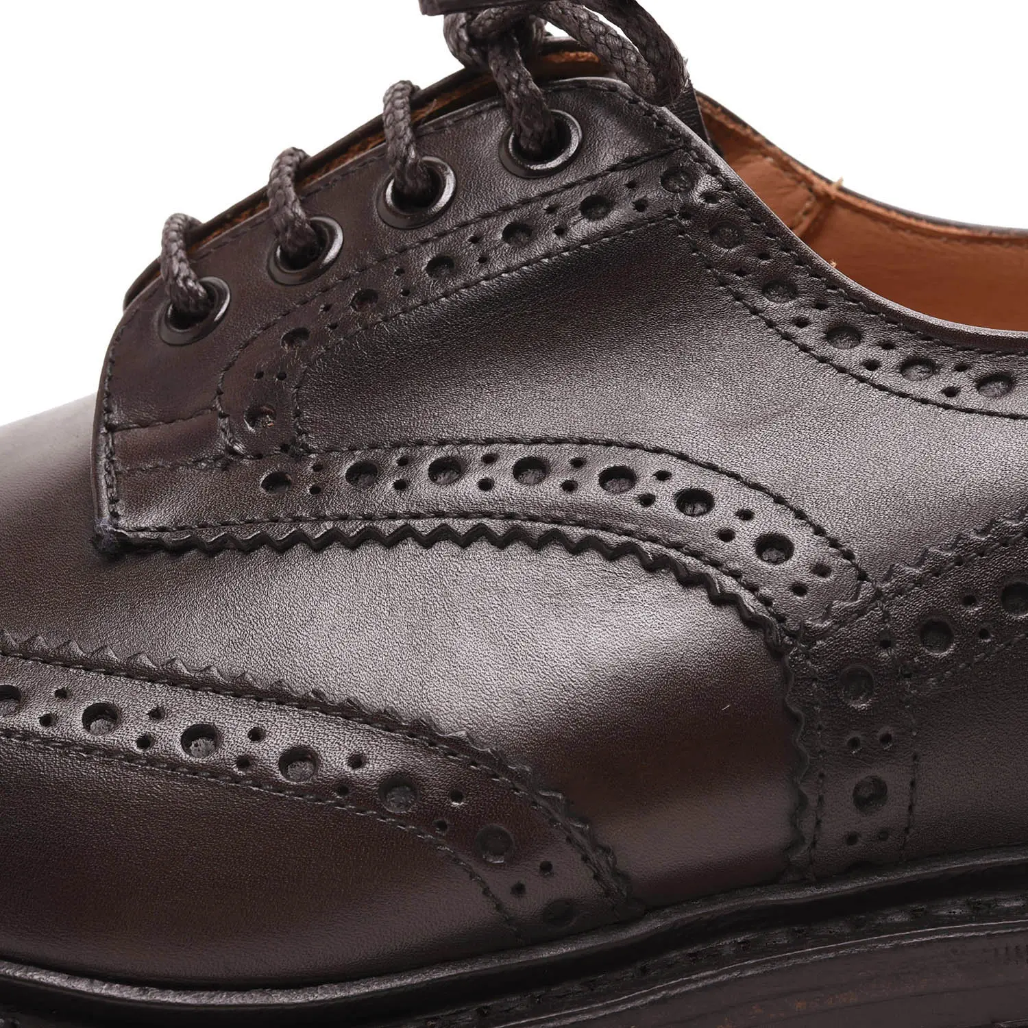 ȥå M5633/9 BOURTON  ʥ espresso