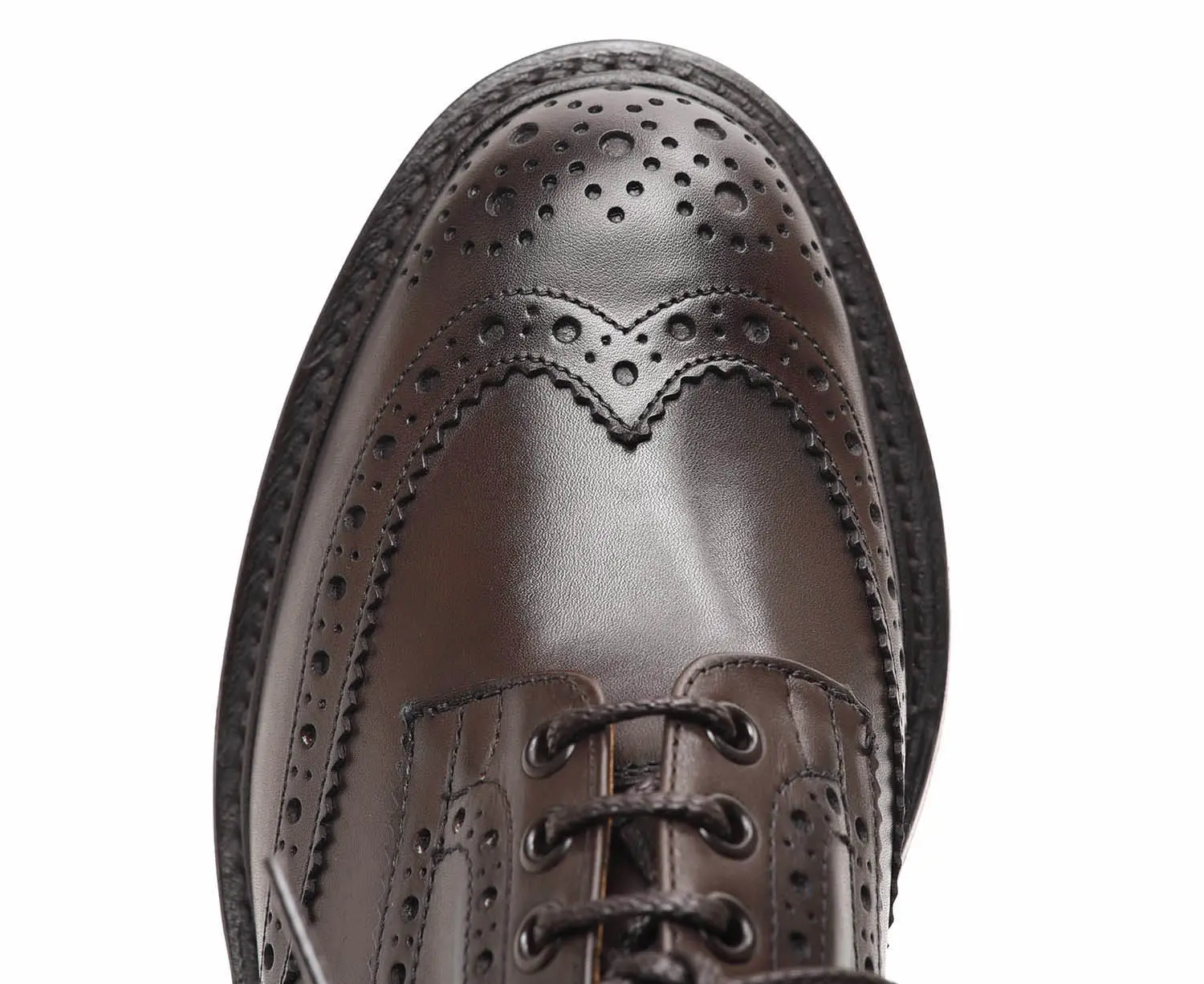 ȥå M5633/9 BOURTON  ʥ espresso