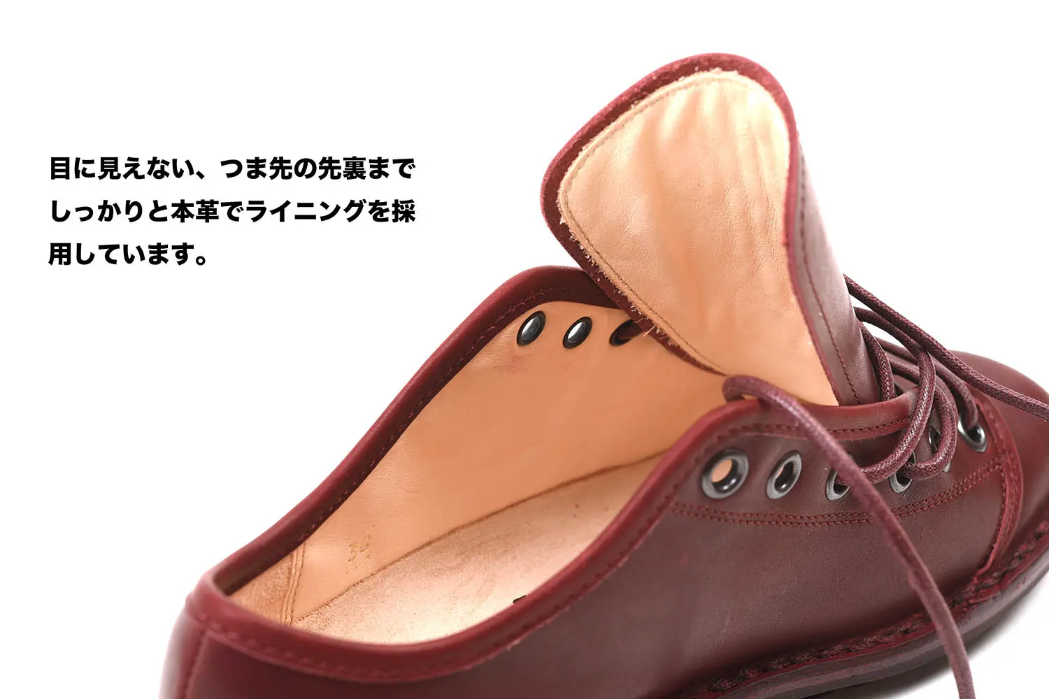 �ȥ�åڥ� ����Todi ASP ��å� (��ǥ�����)