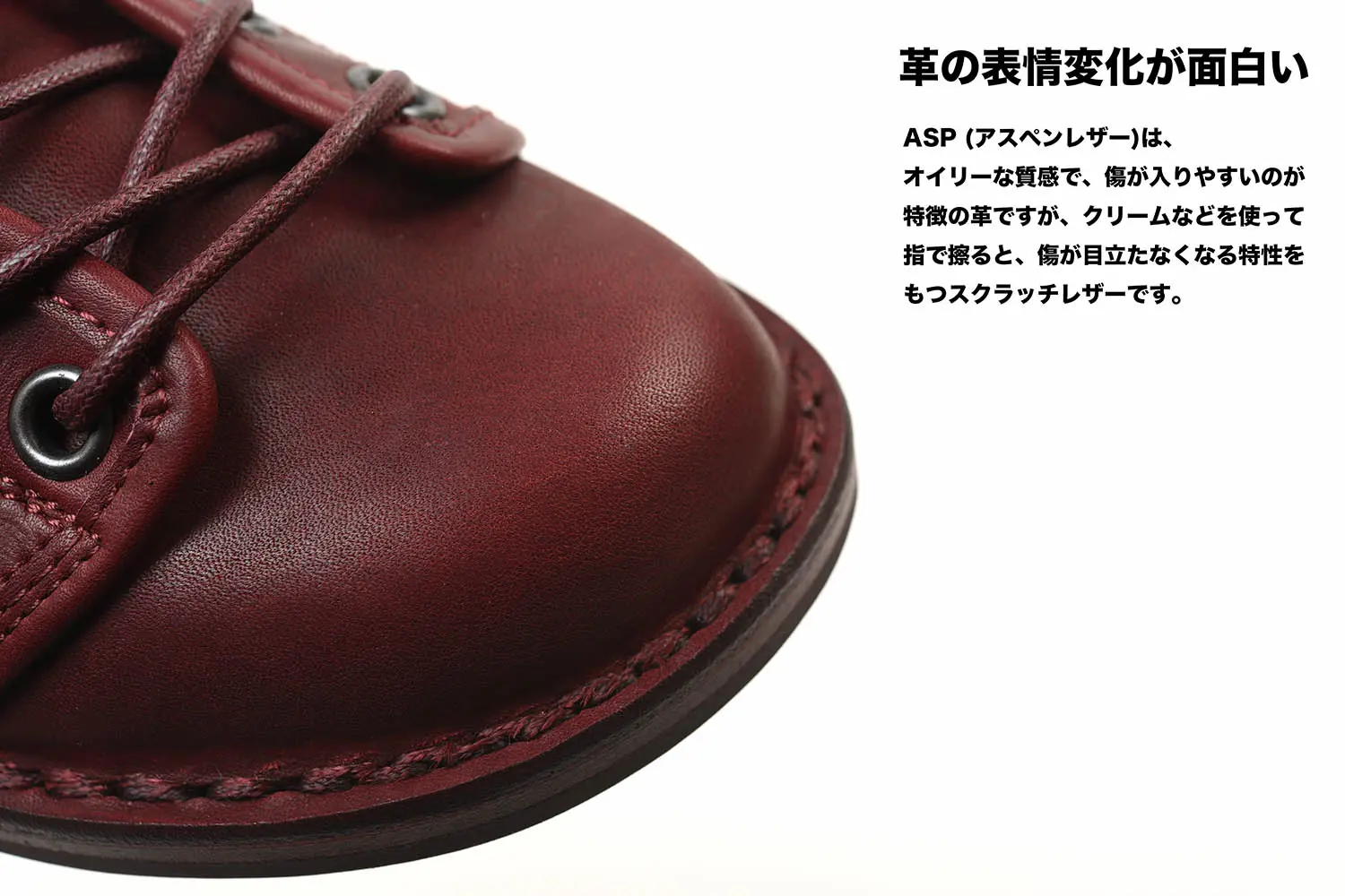 �ȥ�åڥ� ����Todi ASP ��å� (��ǥ�����)